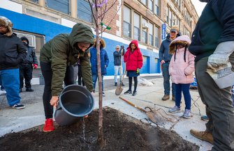 Urban Tree Planting