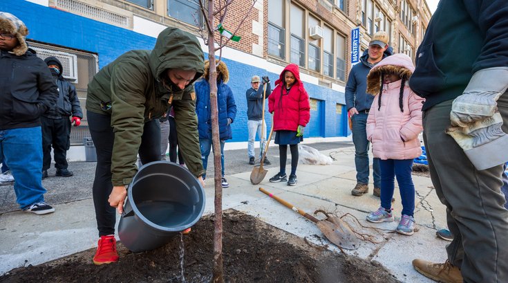 Urban Tree Planting