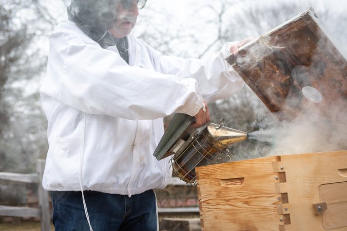 Carroll - The Doctor is Out Beekeeper