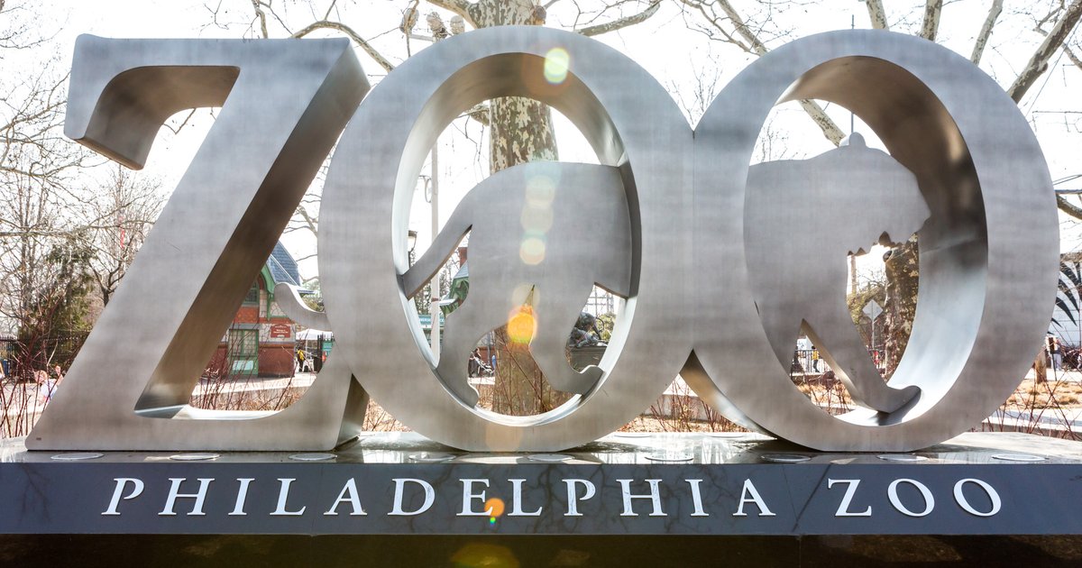 Wild Nights Philadelphia Zoo launching happy hour series PhillyVoice