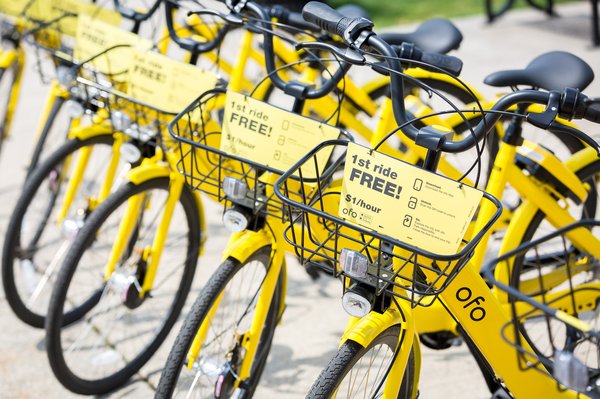 yellow bicycle canteen