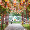 Carroll - Franklin Square Chinese Lantern Festival
