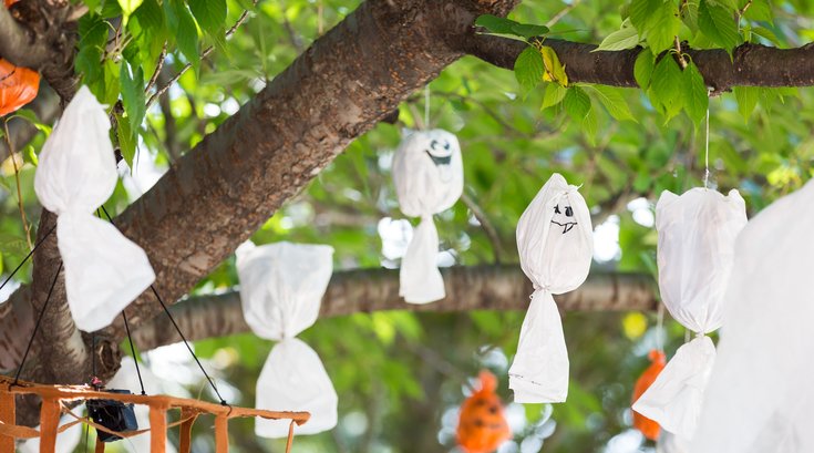 Carroll - Halloween Decorations