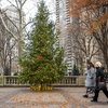 Stock_Carroll - Holiday Decorations, Rittenhouse Square Christmas Tree