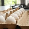 Eggs Bird Flu