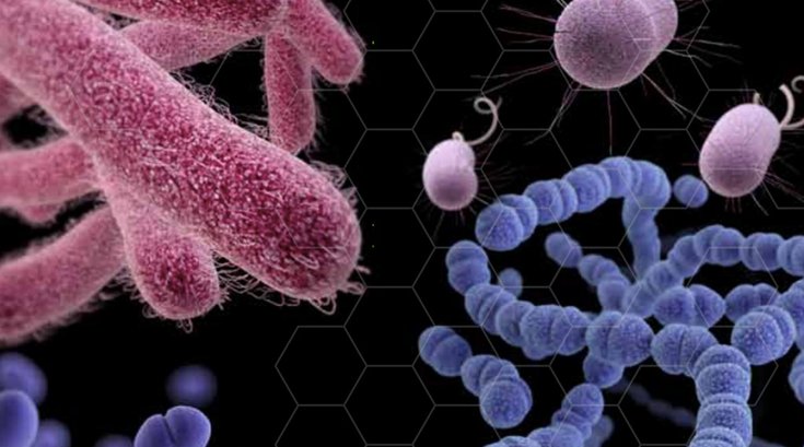 04072018_resistant_bacteria_CDC.