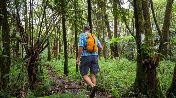 Nature Health Benefits