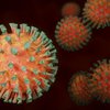 coronavirus double mutant