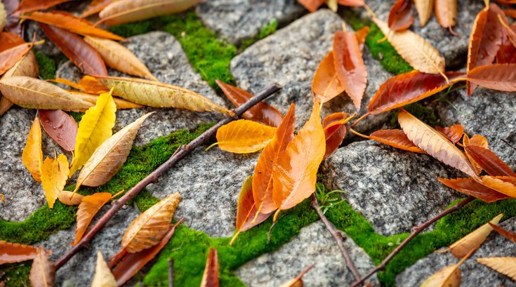 Glow in the Park is annual fall party in Fairmount Park