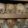 Penn Museum Skulls
