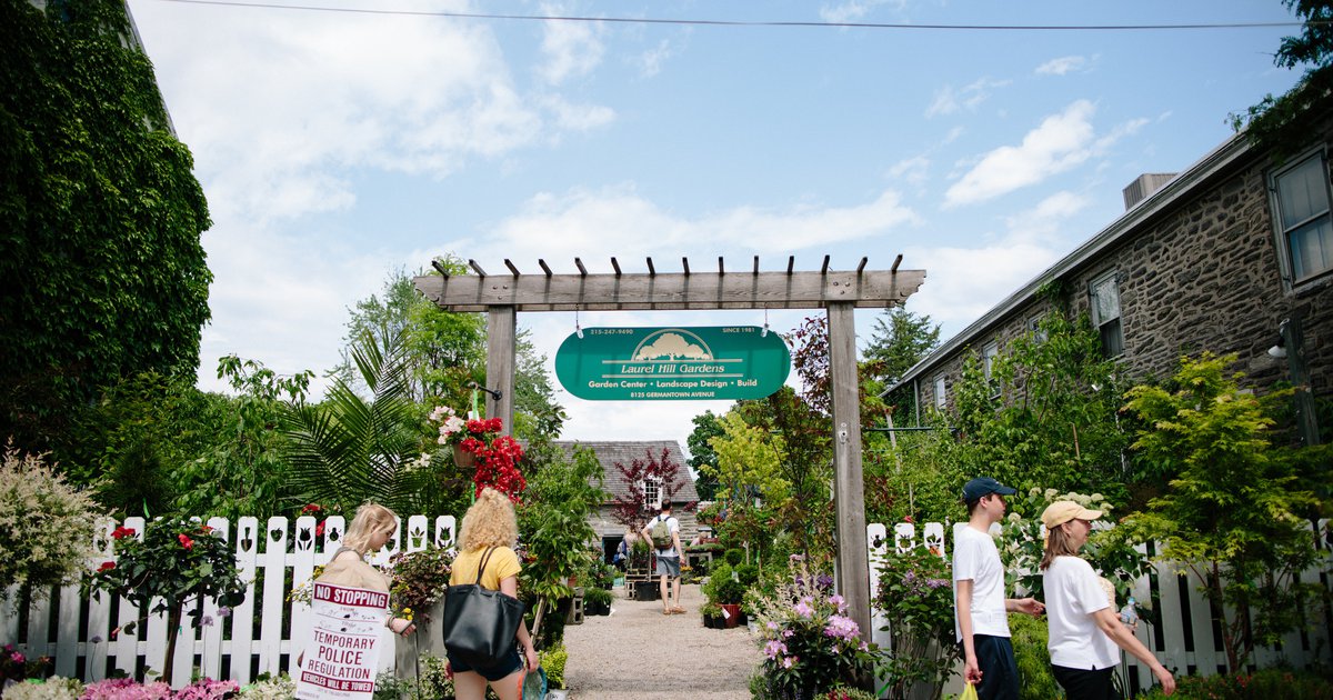 Home and Garden Festival returns to Chestnut Hill with 150 vendors, live music