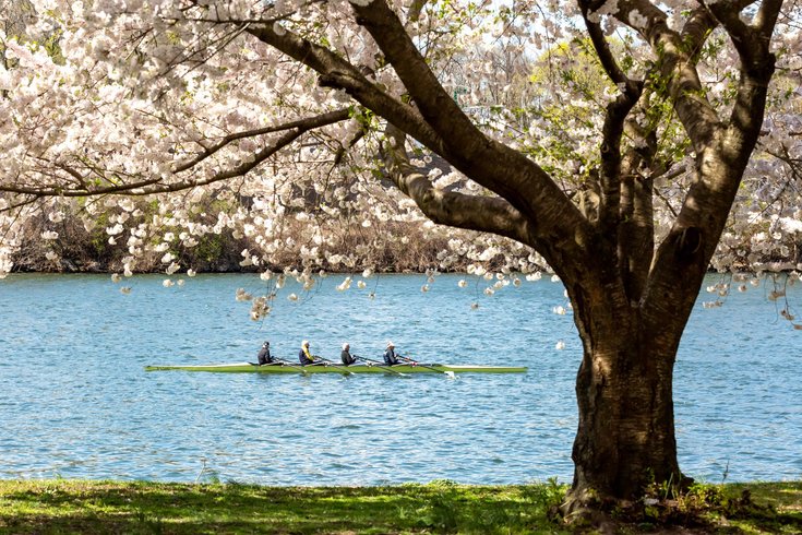 Spring Allergy Tips