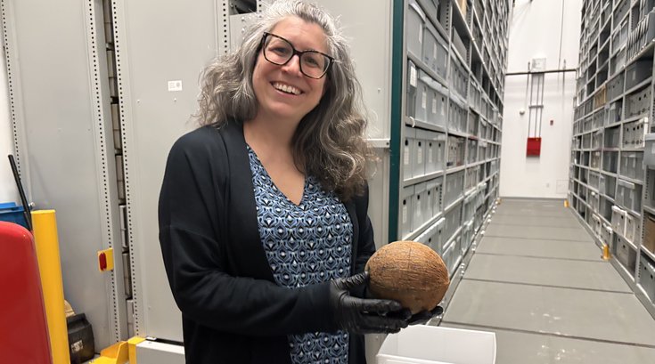 Coconut MRI