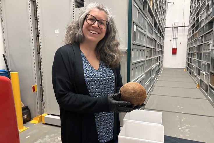 Coconut MRI