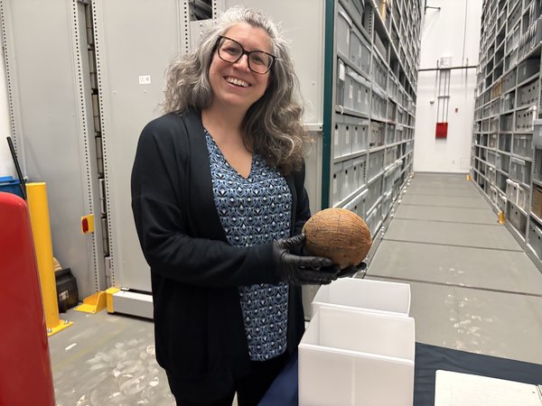 Coconut MRI