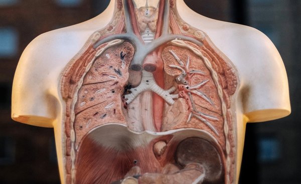 e-cigarette lung toxins 