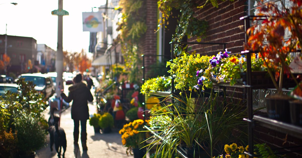 Garden Days on East Passyunk Avenue celebrates return of Philadelphia Flower Show - Vimarsana News