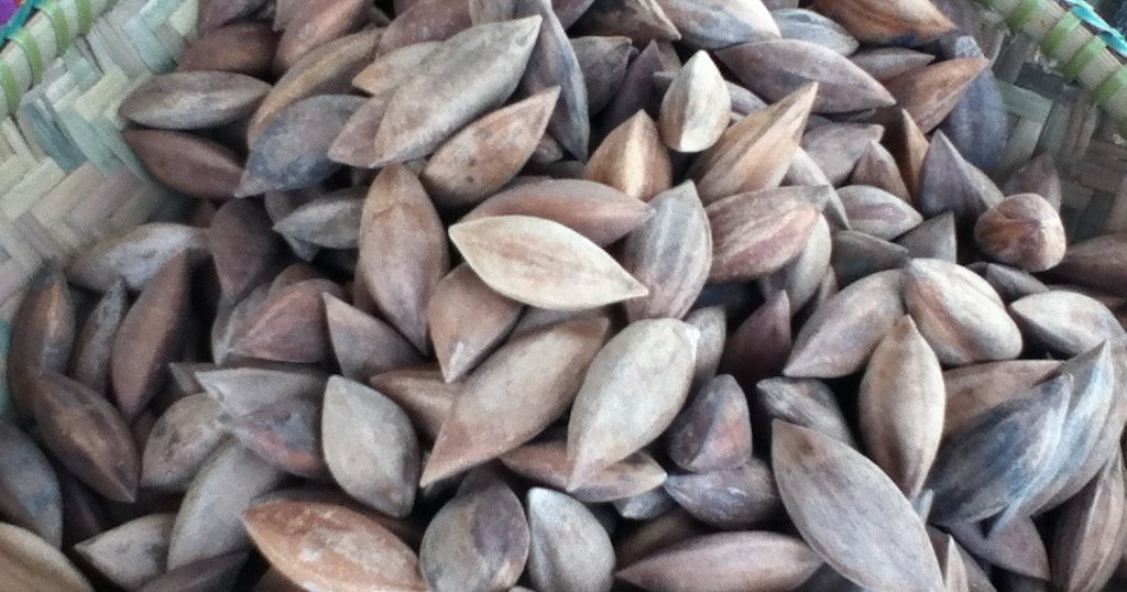 Pili nuts are a nutrientrich and lowcarb snack option PhillyVoice