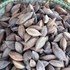 pili nut health benefits