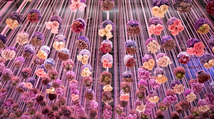 Carroll - PHS Philadelphia Flower Show