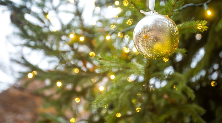 Stock_Carroll - Holiday Decorations in Philadelphia