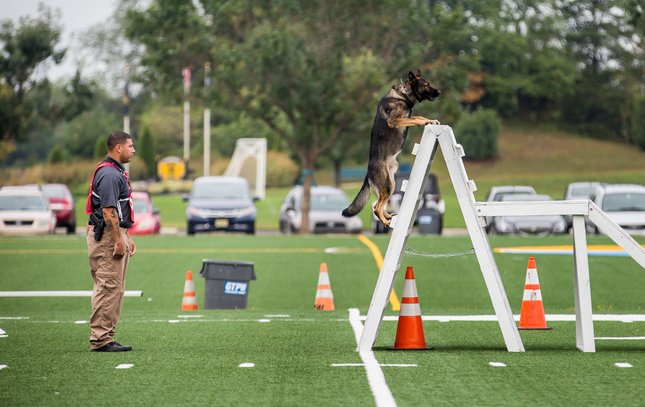 Carroll - Gloucester K9 Competition