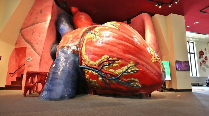 Franklin Institute giant heart