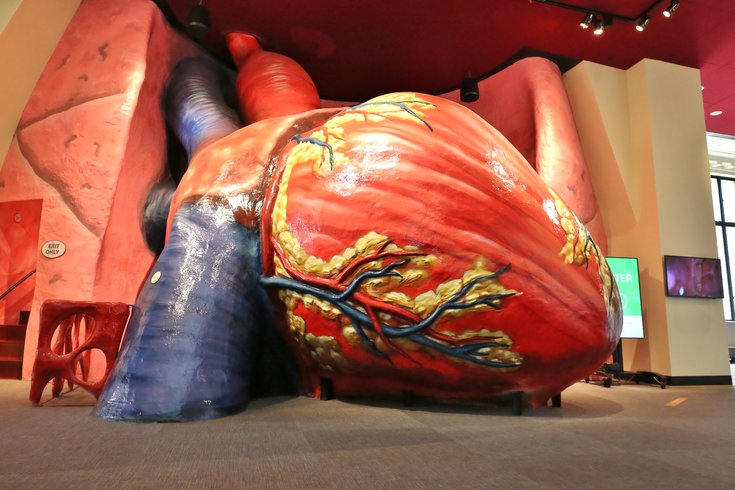 Franklin Institute giant heart