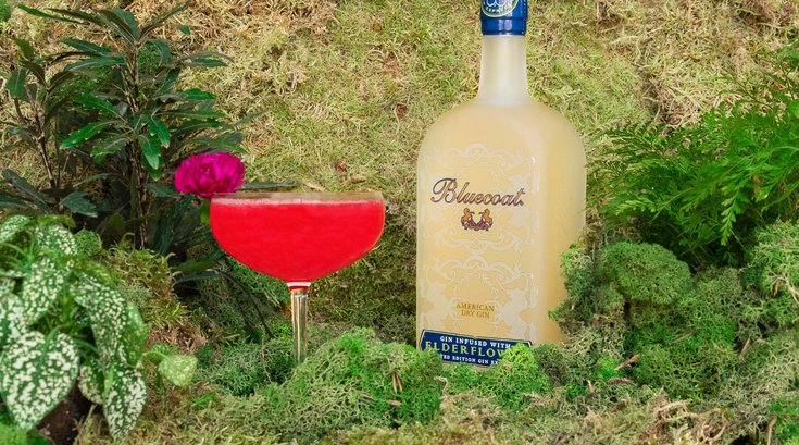 Philadelphia Distilling's Bluecoat Elderflower Gin