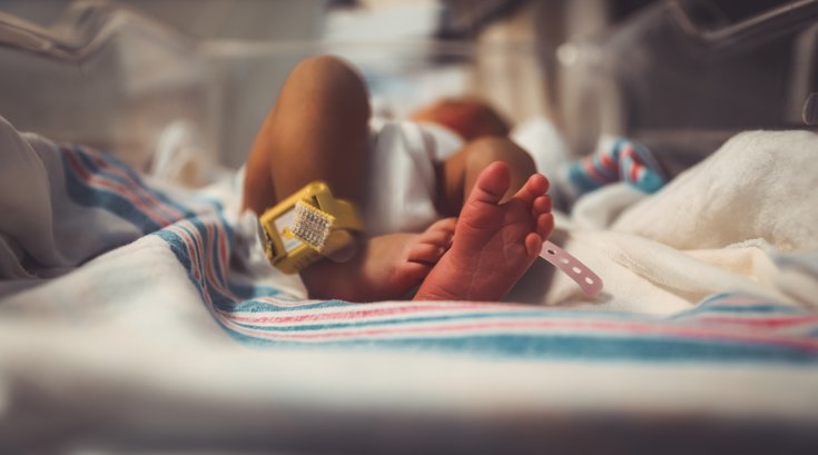 U.S. birth rate 2020