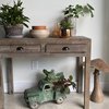 Indoor Plants Mood