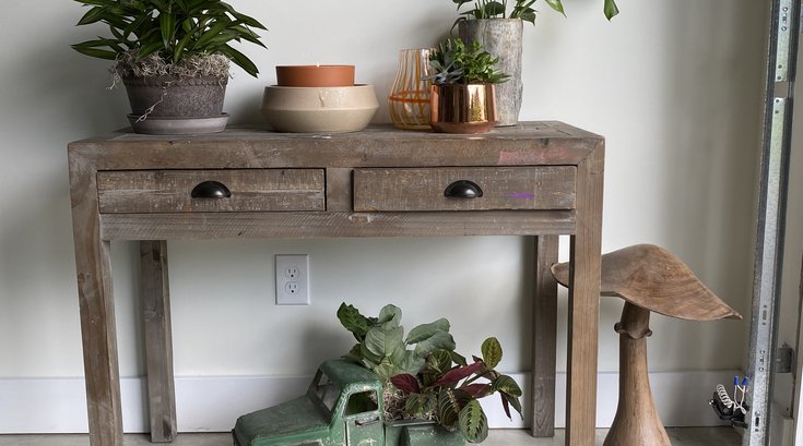 Indoor Plants Mood