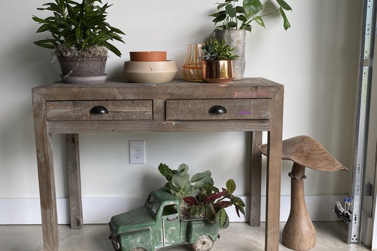 Indoor Plants Mood