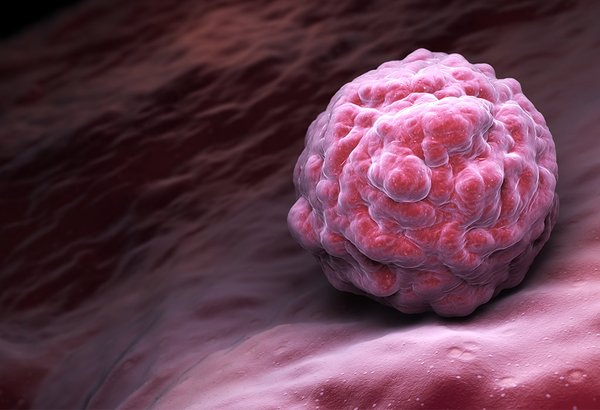 Embryonic Stem Cell 05122019