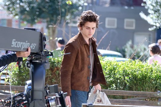 timothee chalamet bob dylan