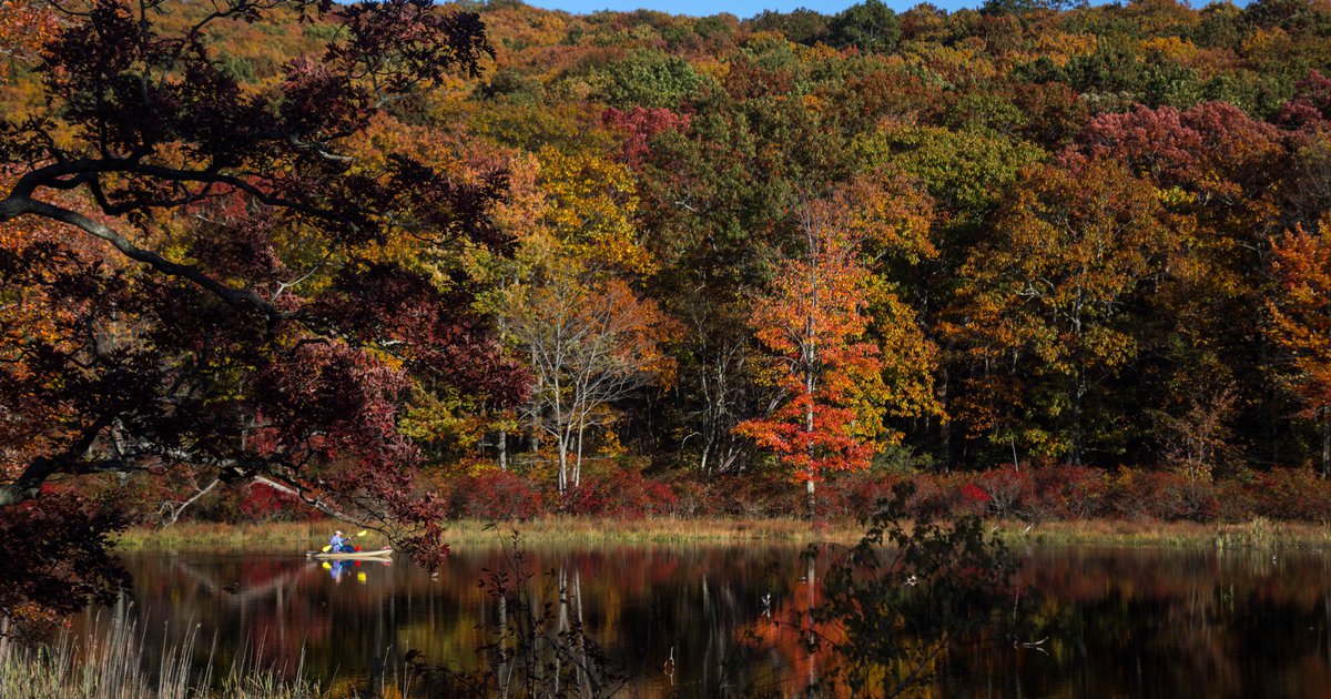 New Jersey Forest Service - Happy autumn from the New Jersey