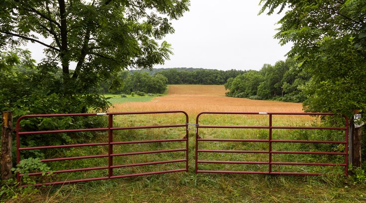 Carroll - Cosmo DiNardo Investigation