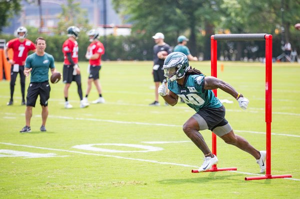Carroll - Marken Michel Eagles Stock
