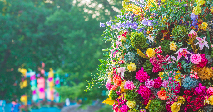 Guide to the 2022 PHS Philadelphia Flower Show at FDR Park - Vimarsana News