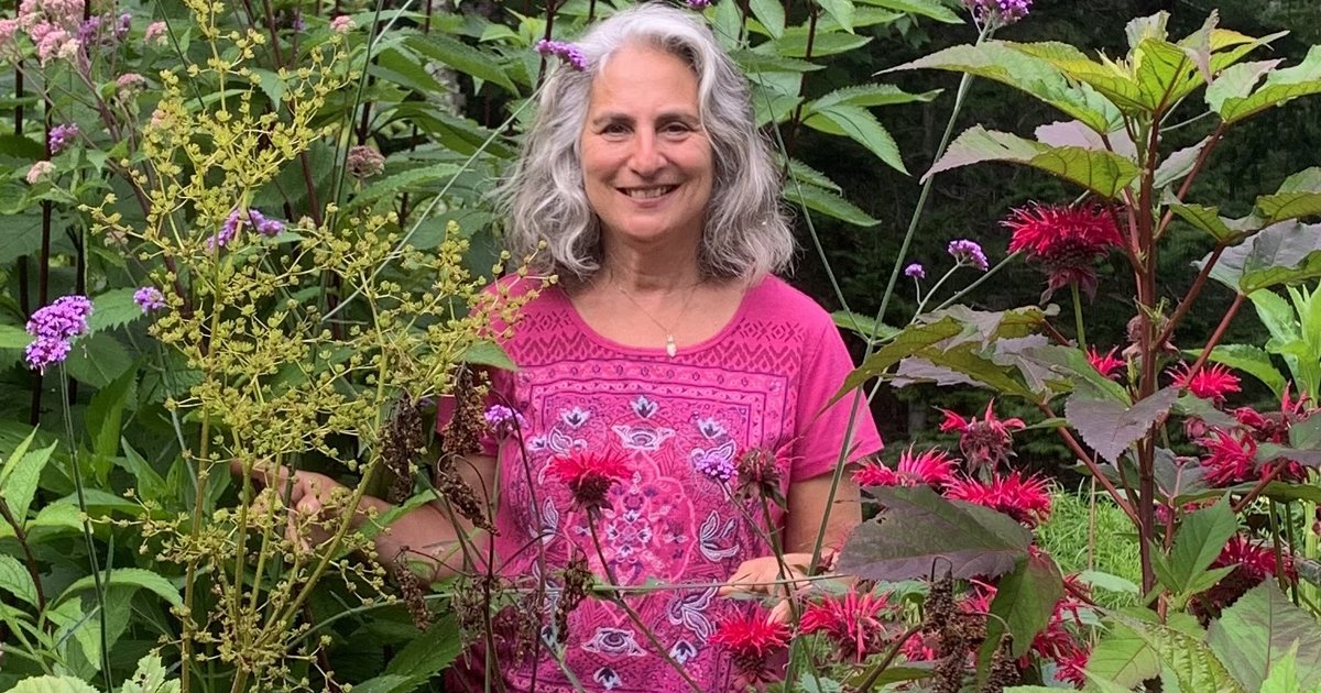 Philly science writer delves into 'amazing superpowers' of bugs in new book