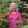 Insect Safari Margie Patlak