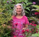 Insect Safari Margie Patlak