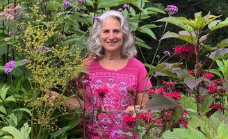 Insect Safari Margie Patlak