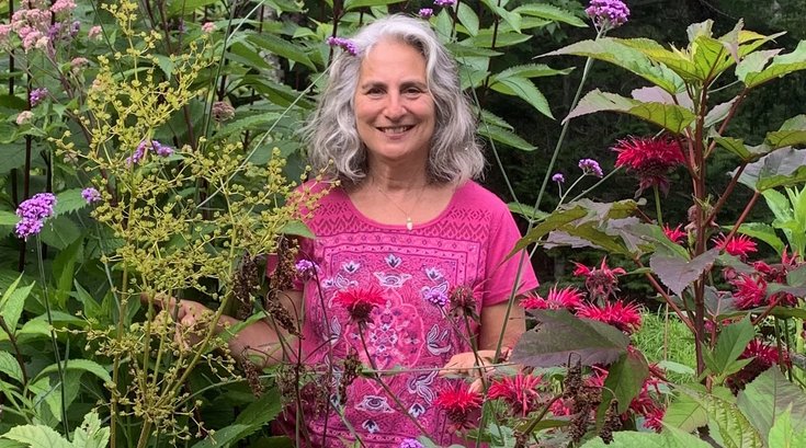 Insect Safari Margie Patlak