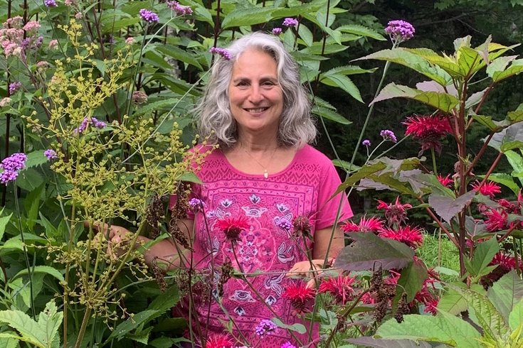 Insect Safari Margie Patlak