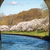 Boat capsized Schuylkill River