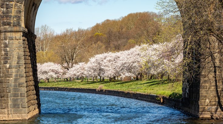 Boat capsized Schuylkill River
