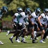 Eagles-minicamp-team