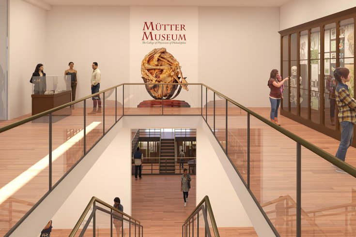 Rendering of Mutter Museum renovations
