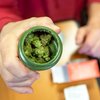 Cannabis Older Adults